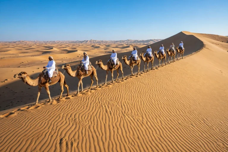 Morning Desert Safari